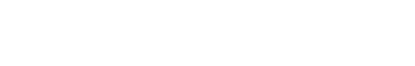 ds (1)