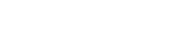 ds (3)